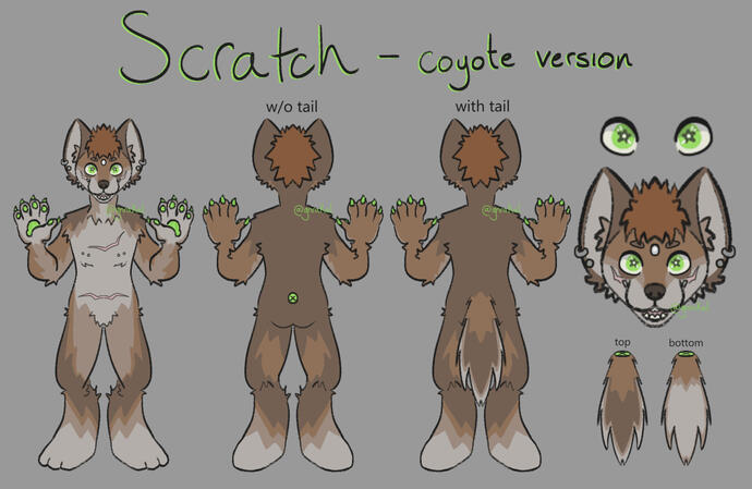 Scratch Reference